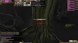 bug de pared