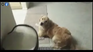 Controlled Feeding Exercise