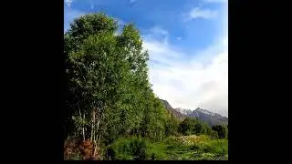 Ghizer valley gilgit baltistan Pakistan #ghizer #gilgit #gilgitpakistan