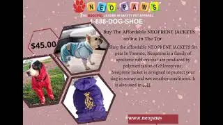 Buy The Affordable Pet FASHION CLOTHING In The Toronto
