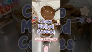Resep Choco Melted Cookies Viral Anti Gagal