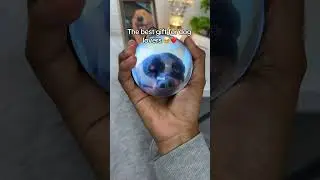 Best gift ever 🥹🎁❤️ #doglover #pets #giftideas #crystalball #dog