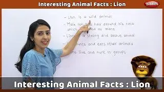 Interesting Animal Facts : Lion | Lion Essay | Lion Quiz | Lion Song | Lion Story | Learn Animals