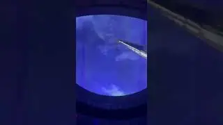 Check this out #44...Space 220 Overview and  Stellarvator  Space Elevator Ride at EPCOT