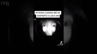 ES HORA DE DORMIR SHH (MEME DEL CHICO DEL TIMBRE)