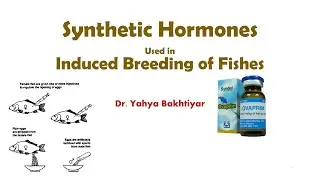 62 Synthetic Hormones used for Induced breeding of carps/fishes