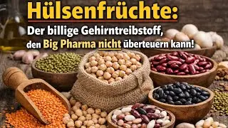 Warum Bohnen dir Gehirnkraft UND Bl&auml;hungen geben, w&auml;hrend Big Pharma nur Rechnungen gibt?