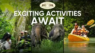 Elephant Camp Adventure 🐘🌿 | Khao Sok National Park, Thailand