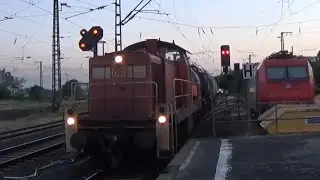 BR 294 686 mit top Makro und Kesselzug in H&ouml;chst