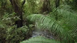 Romantic Relaxing Music and Scenes