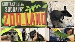 КОНТАКТНЫЙ ЗООПАРК ZOO_LAND | КЕНГУРУ | ЕНОТ | ХАМЕЛЕОН | КУДА СХОДИТЬ ШVEDOV | ВЫПУСК 6 |