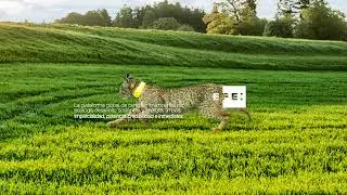 Emisi&oacute;n en directo de EFEverde, periodismo ambiental de Agencia EFE