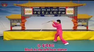 Tai Chi Espada - Forma 16 by Master Faye Li