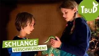 Ein Köder für die Schlange (Folge 114) | Tiere bis unters Dach