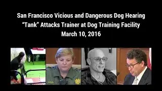 San Francisco Vicious and Dangerous Dog Hearing for 