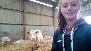 Pr&eacute;sentation du BTSA ACSE