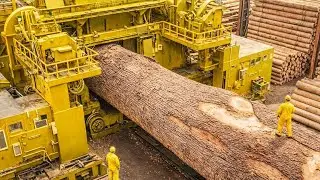 Inside the Largest Wood Sawmill Factory : How P_lywood Is Made From Logs to Table (Full Process)