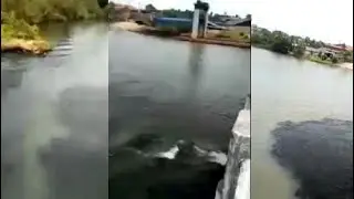 Pathalam Regulator-cum-Bridge shutter releases dark water