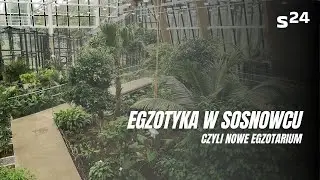 Nowe Egzotarium w Sosnowcu! Byliśmy w środku i znamy datę otwarcia!