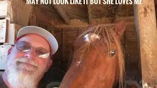 Water in the horse stalls