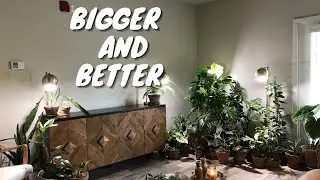 Houseplant Collection Goals | 2021 Plant Goals and Plans for my Plant Collection