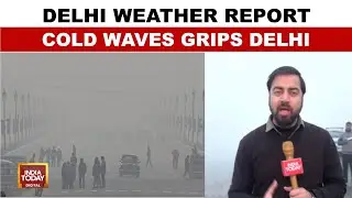 Delhi Weather News: Cold Wave Sweeps North India, Blinding Fog In Several Cities | India Today