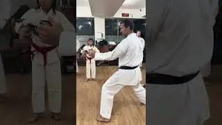Mawashi-Geri e Kizame-Mawashi - aplicando e entendendo defesas - Instrutor Paulo Pestana #karate