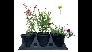 Planting Natives with The Garden Club of Houston