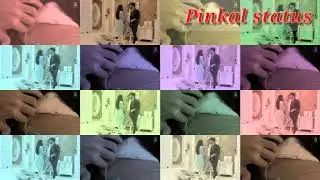 New WhatsApp status videos। New love💓💓 status videos। Pinkal status