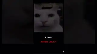 I think James might be freaky jelly instead 🤣 #cat #memes #catmemes #shorts #funny #fyp