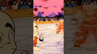 Goku Vanishes...