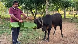 හිත නිවන පරිසරය ...