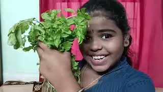 Pudhina Rasam Recipe in Tamil |  How to make Pudhina Rasam |Minty Twist on Traditional Rasam