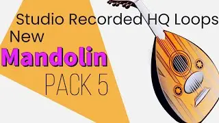 Free Mandolin loops Pack 5 - Mandolin Sample loop kit - Studio Quality #ybloops #punjabiloops |