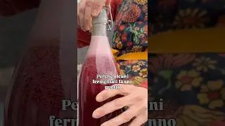 Perch&eacute; alcuni fermentati non frizzano?