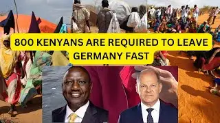 800 Kenyans 🇰🇪 Are Required To Leave Germany 🇩🇪 Fast