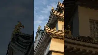 GOLDEN Osaka Castle at Sunset 🏯