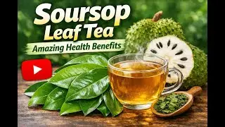 Soursop Leaf Tea Benefits | Natural Remedy for Inflammation, Digestion & Stress