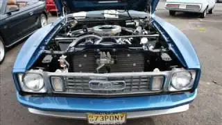Fette Ford & Garden State Mustang Charity Car Show 8/8/2009