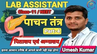 Digestive System आसान भाषा | पाचन तंत्र -4 | पिताशय, अग्नाशय | Lab Assistant & Class 11 Umesh Kumar