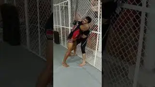 cage control for mma@revolution combat center