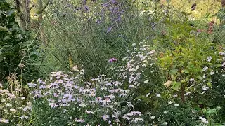 Come to the flower garden! 