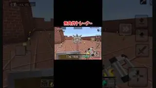 【Minecraft】無免許トレーナー　　#マイクラ