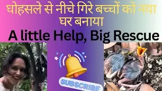 A big rescue with little help#Rescue#Birds#cute#minivlog#love#vlog #unity#intrestingvlog#kindness