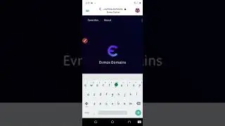 HOW TO PARTICIPATE IN THE EVMOS NAMING SERVICE TESTNET AIRDROP