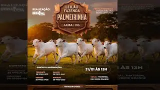 Leilão da Fazenda Palmeirinha - Jaíba/MG