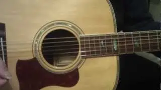 Tanglewood TW 1000 SR Guitar and Zoom Q3 HD demo