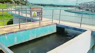 Mission Bhagiratha Drinking Water Filter Process | pradeep thammadi zindagi