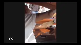 Tyga Has His Bugatti Blocked By Gang In Middle Of The Street