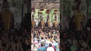 Thrissur Pooram 2025 LIVE